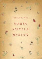 Maria Sibylla Merian 3