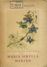 Maria Sibylla Merian 4